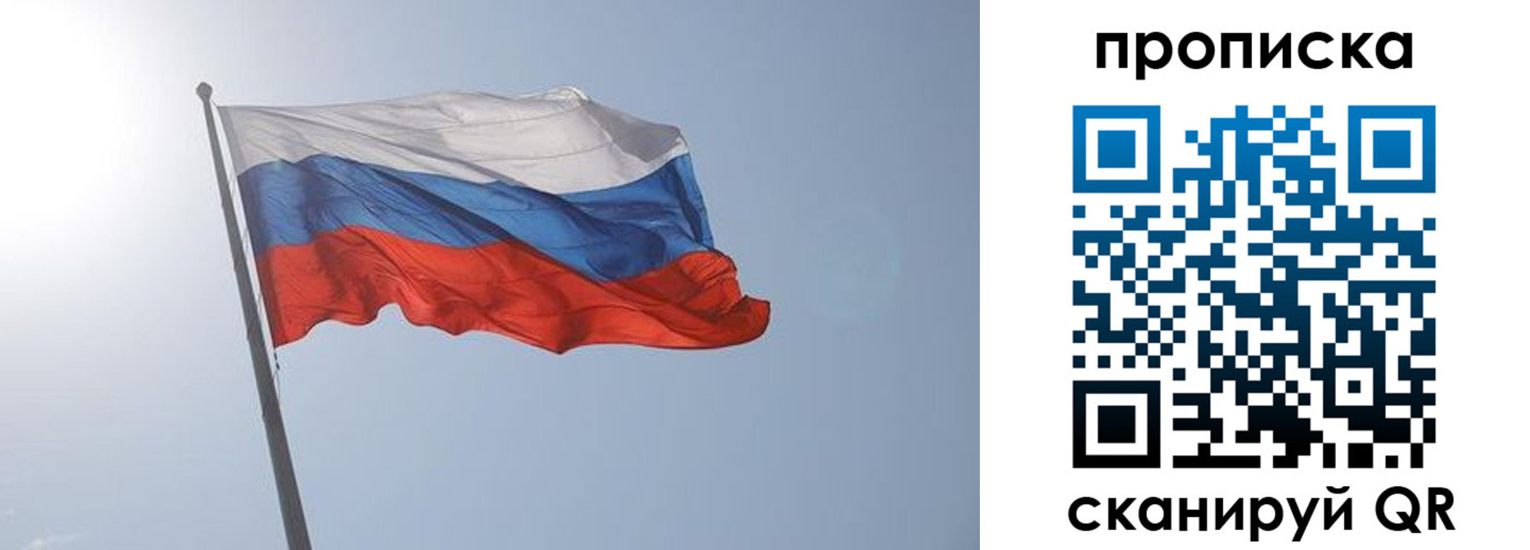 временная регистрация госуслуги в Елизово